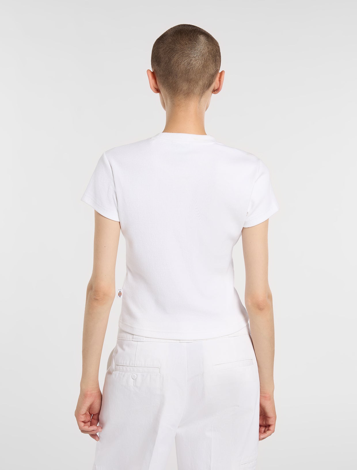 T-shirt Wellsville crop bianco