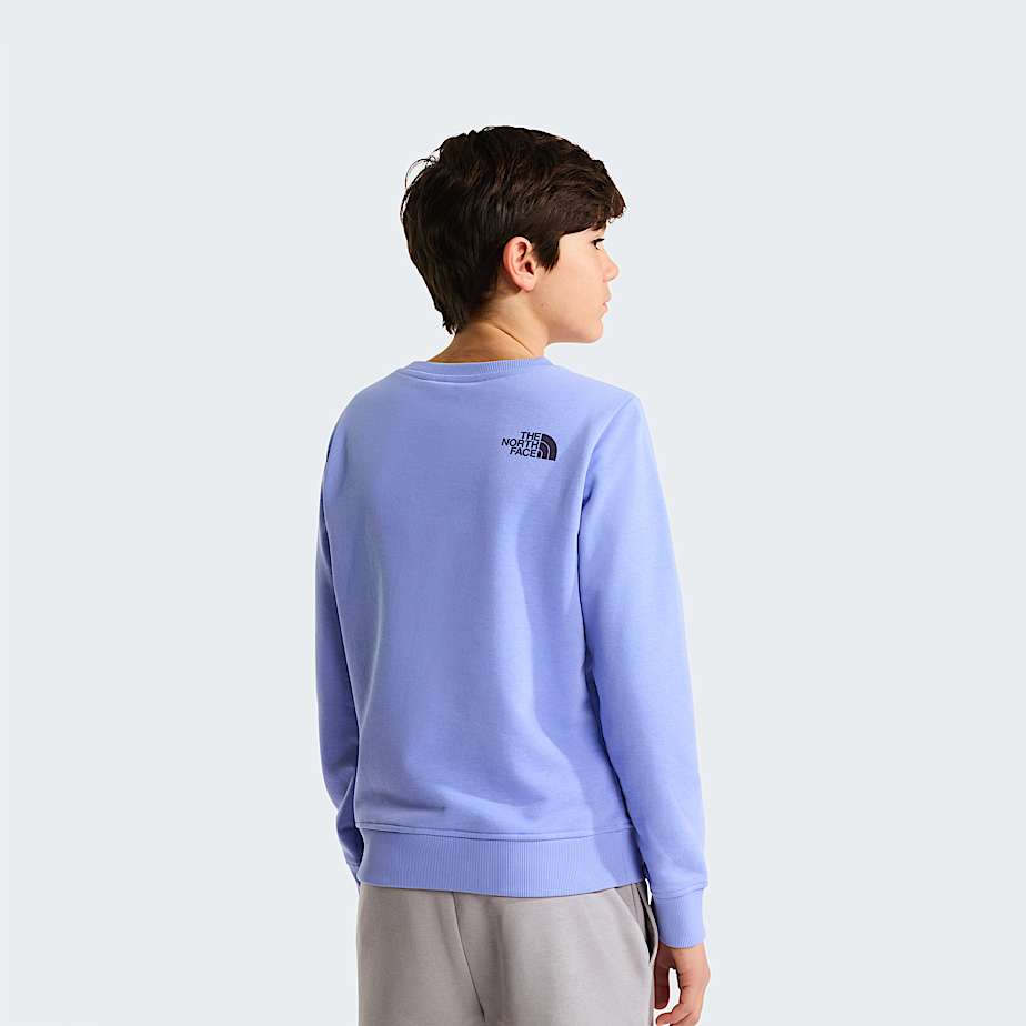 Felpa The north face girocollo lilla - 6/20 ANNI