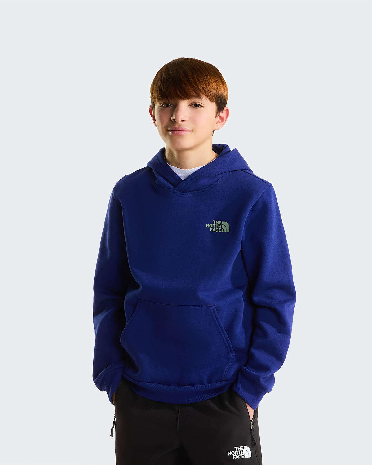 Felpa The north face con cappuccio blu/viola - 6/12 ANNI