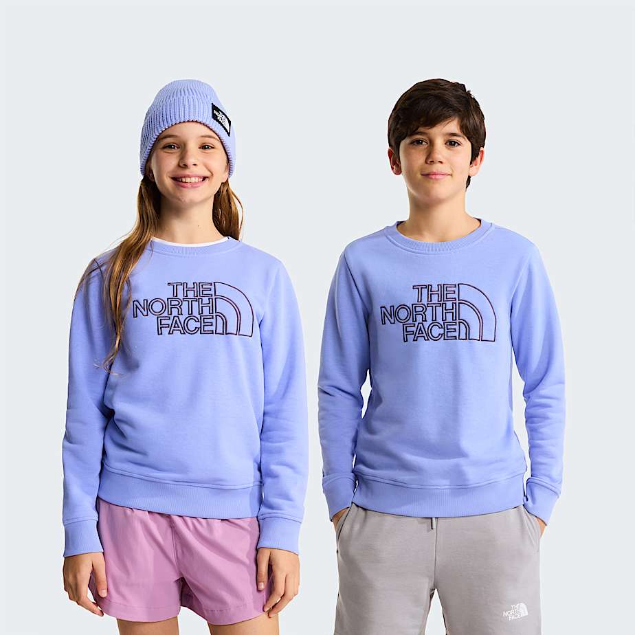 Felpa The north face girocollo lilla - 6/20 ANNI
