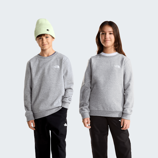 Felpa The north face girocollo grigio - 6/20 ANNI