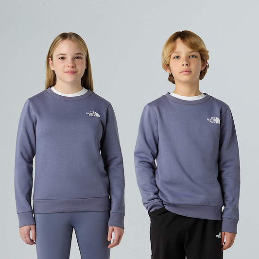 Felpa The north face girocollo lilla - 6/20 ANNI