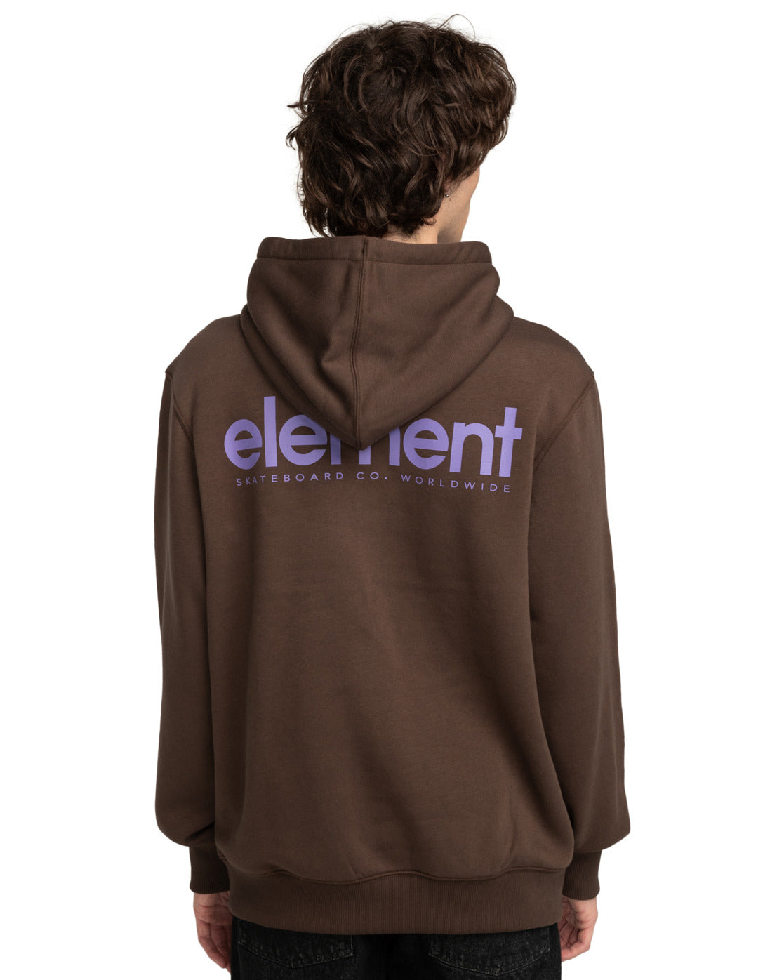 Felpa Element logo con cappuccio marrone