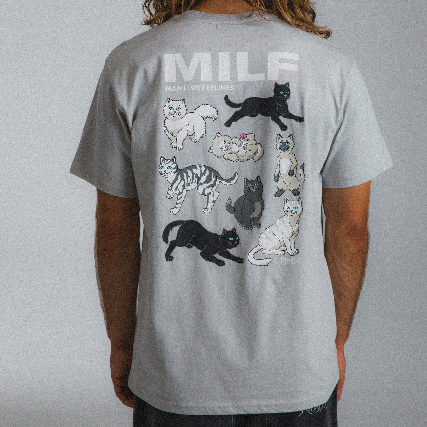 T-Shirt Man i love felines grigio